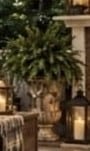 Aged Stone Urn Planter